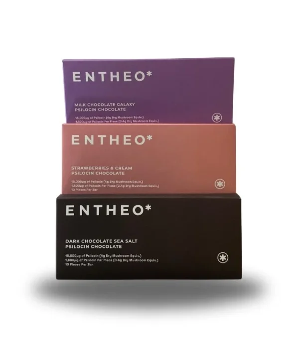 Entheo Chocolate Bar Bundle